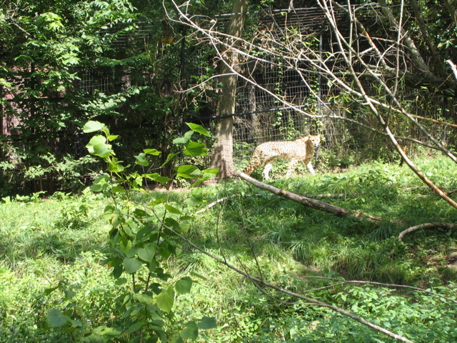 IMG_0132.JPG